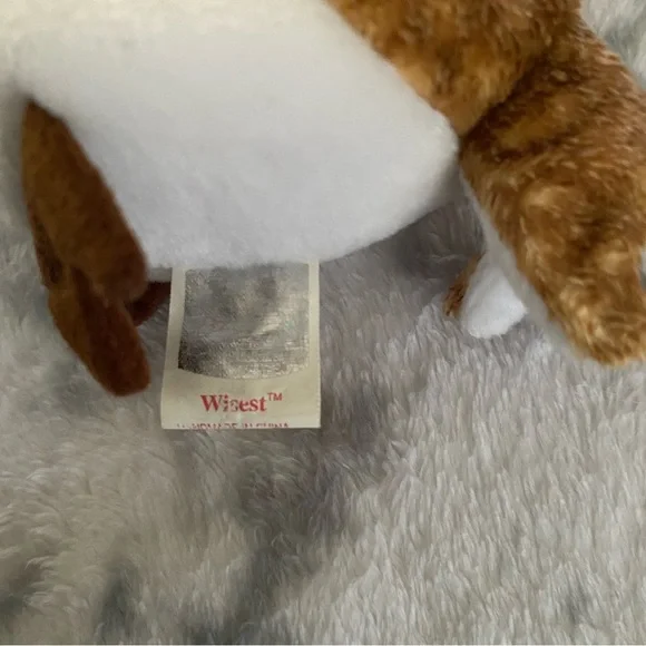 Wisest owl - Picture 2 of 4